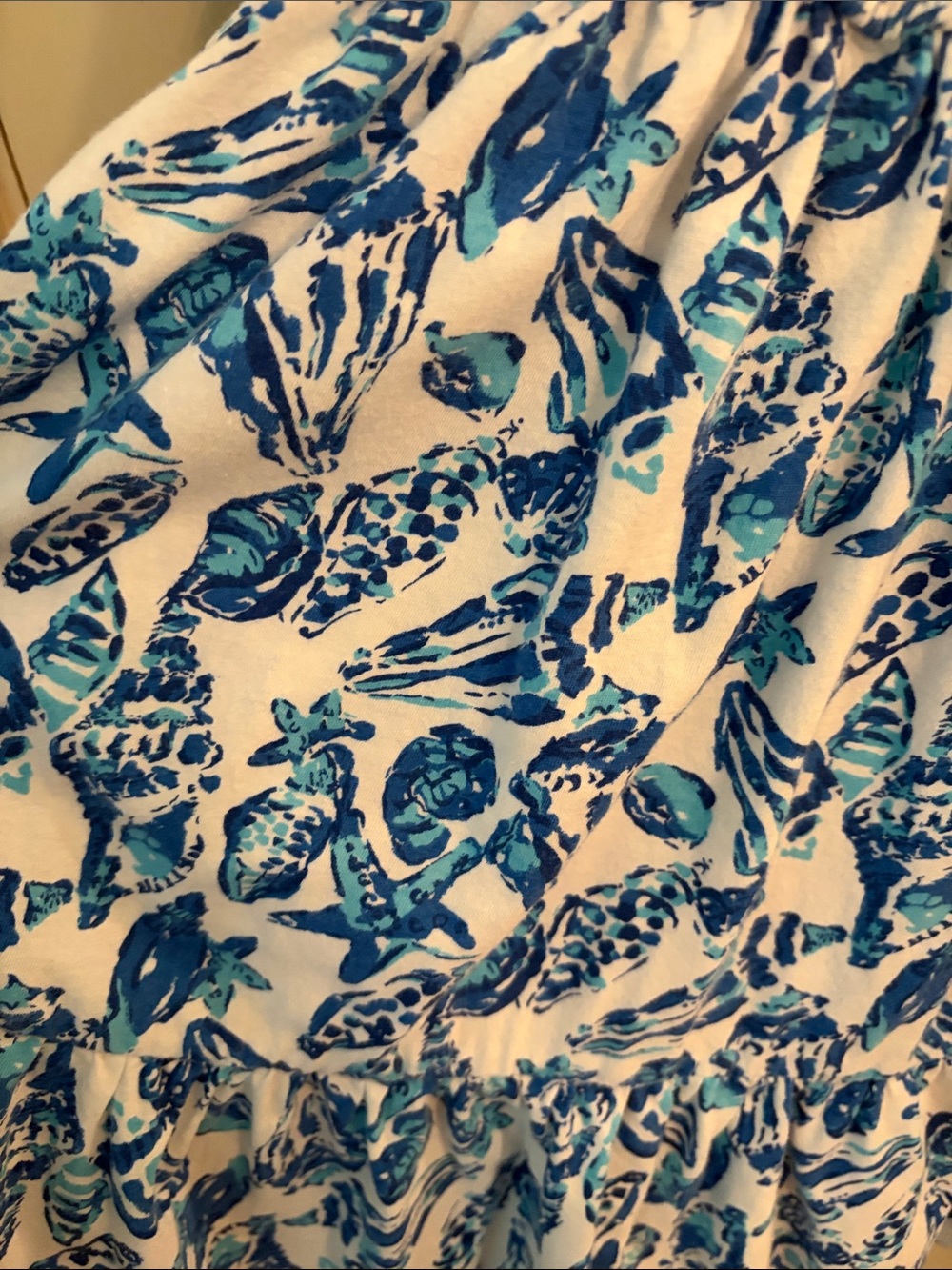 Lilly Pulitzer Blue and White Floral Smocked Dress - Picture 2 of 5
